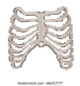 8-bit or 16-bit pixel ribcage or chest or sternum 