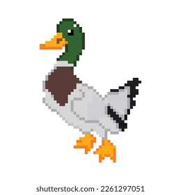 8bit pixels Art duck vector, duck pixel art design