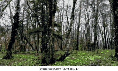 8bit vintage game style forest sceneary illustration vector with trees and grass ground