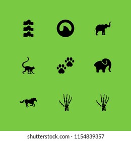 9 africa icons in vector set. safari, shark fin, animal and animal prints illustration for web and graphic design