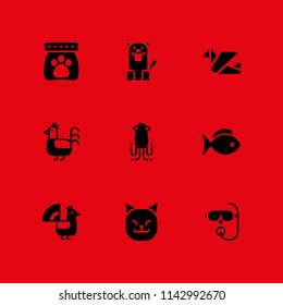 9 animal icon set with scuba diving, squid and origami vector illustration for graphic design and web