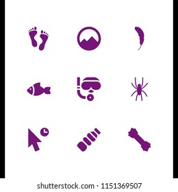 9 animal icons in vector set. scuba diving, pet, plastic and fish illustration for web and graphic design