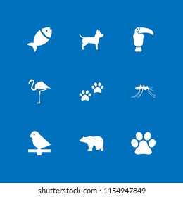 9 animal icons in vector set. pet, bear, dog and mosquito illustration for web and graphic design