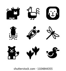 9 Animals icons vector set. animal, crayfish, business and waterfowl illustration for web.