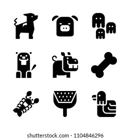 9 Animals icons vector set. fly, gnaw, flight and beautiful illustration for web.