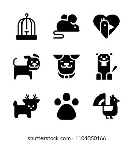 9 Animals icons vector set. antler, young, 2018 and monochrome illustration for web.