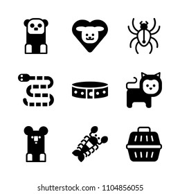 9 Animals icons vector set. cobweb, manager, textile and australia illustration for web.
