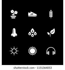 9 beauty icons in vector set. footwear, branch, budding leaves and headphones illustration for web and graphic design