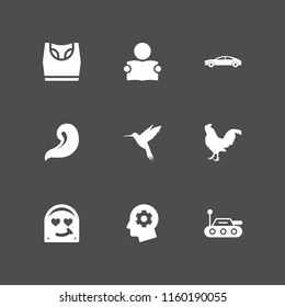 9 beauty icons in vector set. underwear, spa, bird and sportcar illustration for web and graphic design