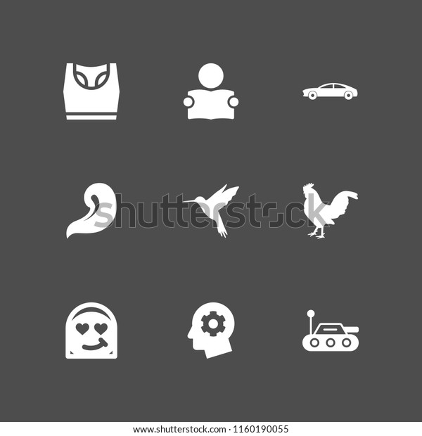 9 beauty icons in\
vector set. underwear, spa, bird and sportcar illustration for web\
and graphic design