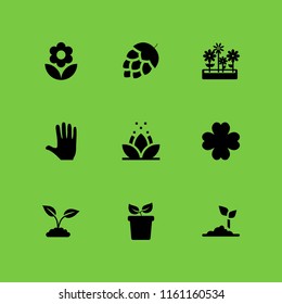 9 botanical icons in vector set. artichoke, palm, flower with leaves and plant with leaves illustration for web and graphic design