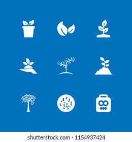 9 botany icons in vector set. soil, leaf, tree and laboratory illustration for web and graphic design