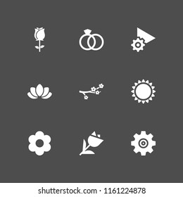 9 bouquet icons in vector set. wedding rings couple, floral, flower and setup illustration for web and graphic design
