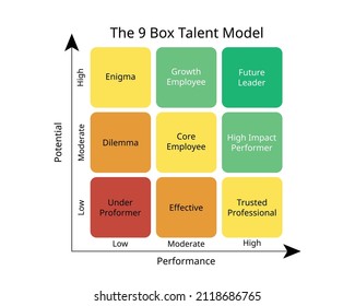 the 9 box talent model or the 9-box grid  is a tool used to analyze, display, and compare employee work performance and potential