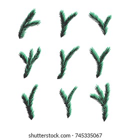 9 branches of fur-tree drawn by hand in sketch style isolated on white background