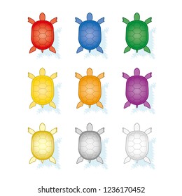 9 color feng shui turtles