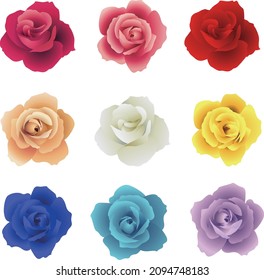 9 color rose flower set