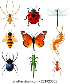 9 Colorful insects icons, with Ladybug, Bee, Dragonfly, Ant, Centipede, Butterfly, Spider, Grasshopper and Longhorn Beetle vector illustration.