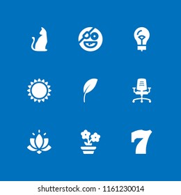 9 decorative icons in vector set. pirate, furniture, lightbulb and halloween black cat illustration for web and graphic design