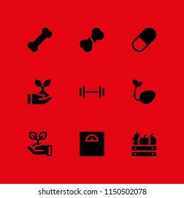 9 diet icons in vector set. sprout, capsule, fruit and weight illustration for web and graphic design