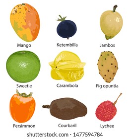9 different fruits on a white background