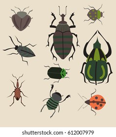 9 Different kinds of cockroaches  vector 