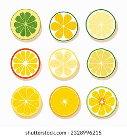 9 different shaped round lemon flat design vector white background 04