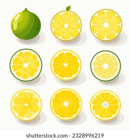 9 diferentes formas de diseño limón redondo plano vector fondo blanco