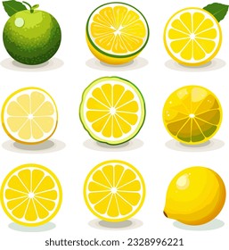 9 different shaped round lemon flat design vector white background 03