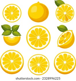 9 diferentes formas de diseño limón redondo plano vector fondo blanco 07