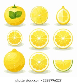 9 different shaped round lemon flat design vector white background 05