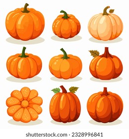 9 different shaped round pumkin flat design vector white background 05