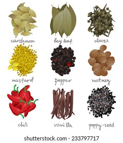 9 different spices over white background