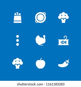 9 dinner icons in vector set. vegan, vegetarian, turkey and bread illustration for web and graphic design