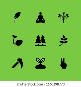 9 ecology icons in vector set. calm, plant, tree and branch with leaves black shape illustration for web and graphic design