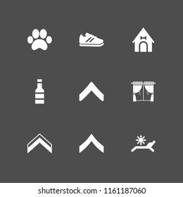 9 floor icons in vector set. paw print, curtain, swimming pool and kitchen illustration for web and graphic design