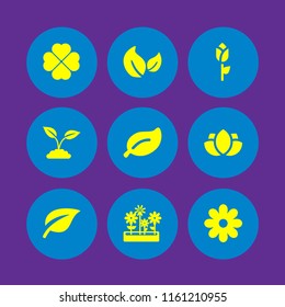 9 flora icons in vector set. flowers pot of yard, rose, leaf and tree leaf illustration for web and graphic design