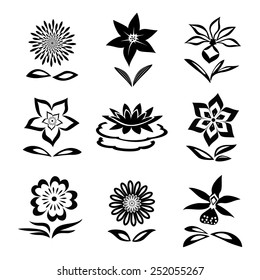 9 Flower set. Chamomile, lily, orchid, waterlily. Black silhouettes on white background.  Isolated symbols of flowers and leaves. Vector