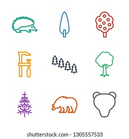 9 forest icons. Trendy forest icons white background. Included outline icons such as bear, pine tree, tree, chainsaw, hedgehog. forest icon for web and mobile.