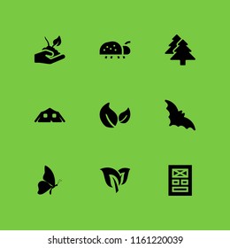 9 forest icons in vector set. pine, bat, leaf and butterfly illustration for web and graphic design