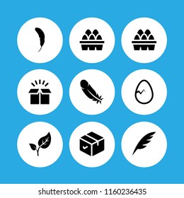 9 fragile icons in vector set. egg, box, feather and budding leaves illustration for web and graphic design