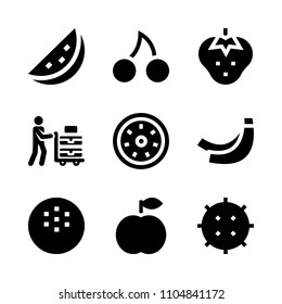 9 Fruits icons vector set. eating, palm, service and litchi illustration for web.