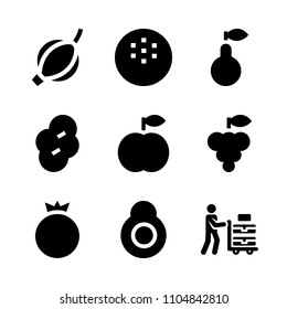 9 Fruits icons vector set. shears, pruning, vector and top illustration for web.