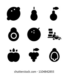 9 Fruits icons vector set. summer, button, ingredient and peel illustration for web.