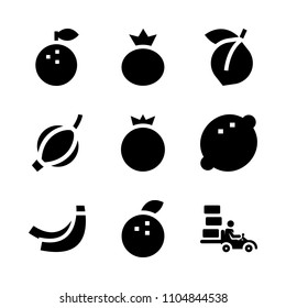 9 Fruits icons vector set. herbal, product, raw and nature illustration for web.