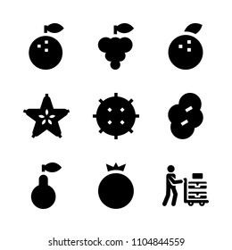 9 Fruits icons vector set. buy, isolated, native and closeup illustration for web.