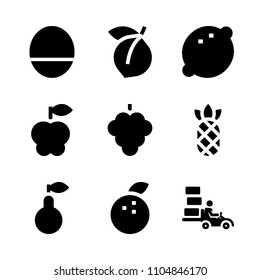 9 Fruits icons vector set. cross section, macro, portion and decorative illustration for web.