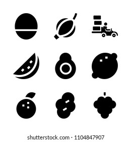 9 Fruits icons vector set. nature, cooking, orange and outside illustration for web.