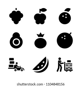 9 Fruits icons vector set. summer, pink, object and red illustration for web.