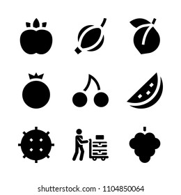 9 Fruits icons vector set. studio, litchee, set and metal illustration for web.